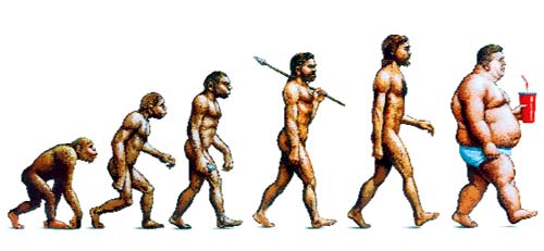 evolution-to-fat