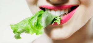 Dieta vegetariana?